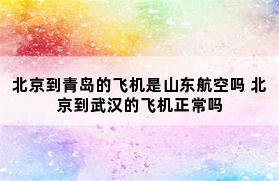 北京到青岛的飞机是山东航空吗 北京到武汉的飞机正常吗